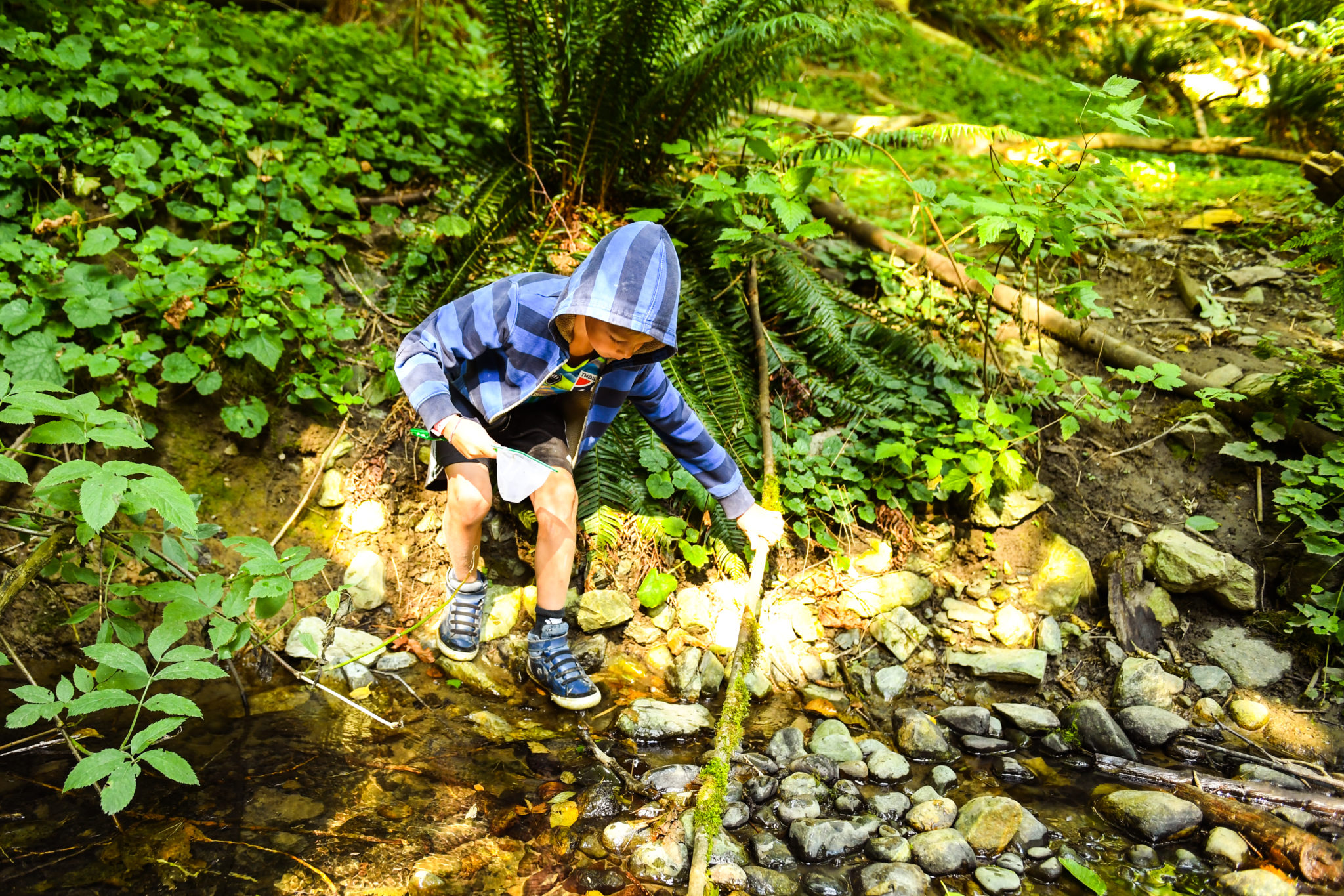 2021 Science and Nature Summer Camps Cowichan Estuary Nature Centre