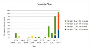 Varnish clams